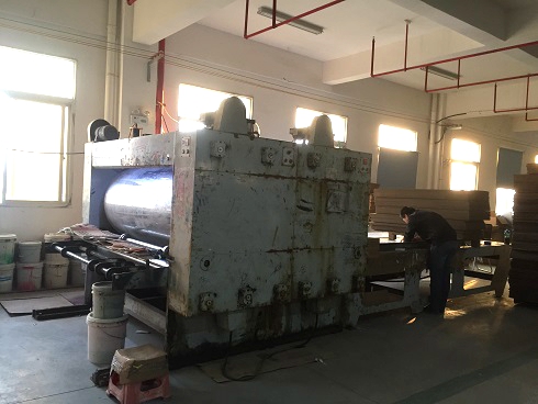 《一口气看完偷渡的女人》午夜高清完整版5