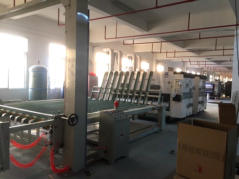 《一口气看完偷渡的女人》午夜高清完整版2